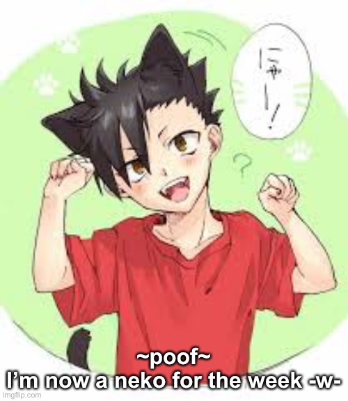~poof~
I’m now a neko for the week -w- | made w/ Imgflip meme maker