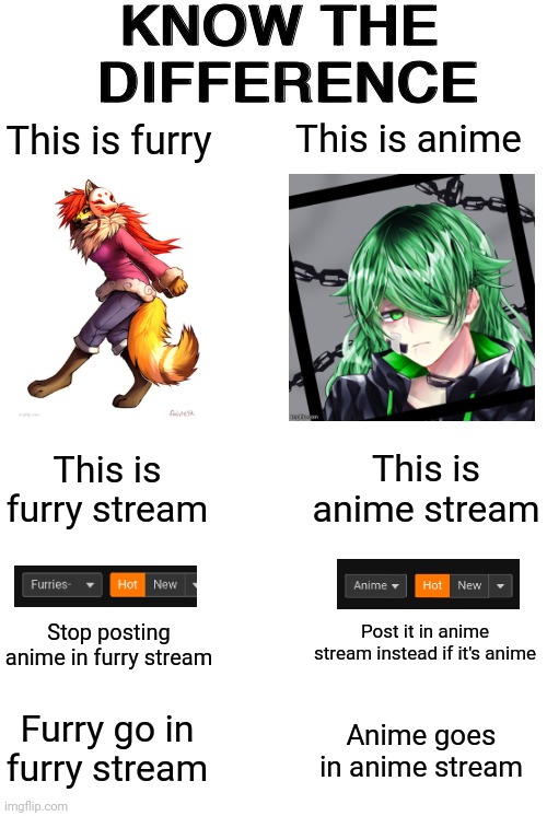 Know the difference | This is anime; This is furry; This is anime stream; This is furry stream; Stop posting anime in furry stream; Post it in anime stream instead if it's anime; Furry go in furry stream; Anime goes in anime stream | image tagged in know the difference,furries,anime | made w/ Imgflip meme maker