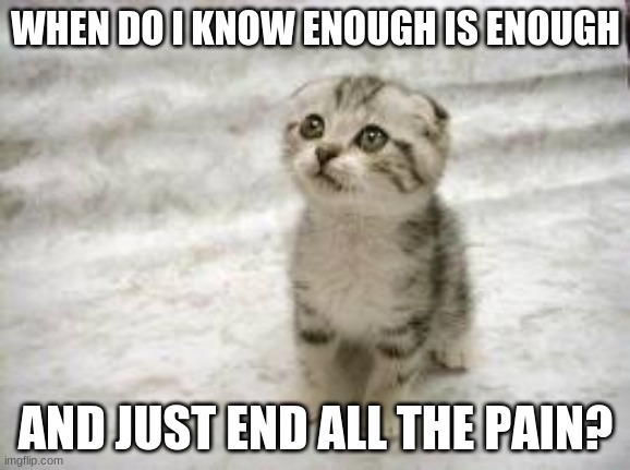 Sad Cat | WHEN DO I KNOW ENOUGH IS ENOUGH; AND JUST END ALL THE PAIN? | image tagged in memes,sad cat | made w/ Imgflip meme maker