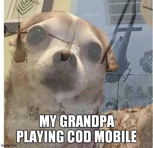 PTSD Chihuahua | MY GRANDPA PLAYING COD MOBILE | image tagged in ptsd chihuahua | made w/ Imgflip meme maker