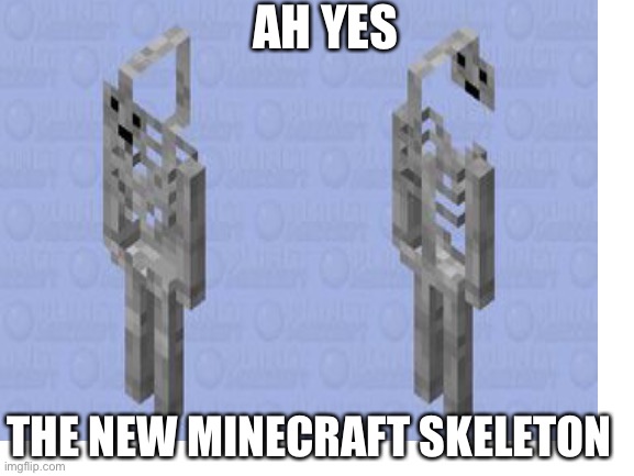 Ah yes the new Minecraft skeleton | AH YES; THE NEW MINECRAFT SKELETON | image tagged in minecraft | made w/ Imgflip meme maker