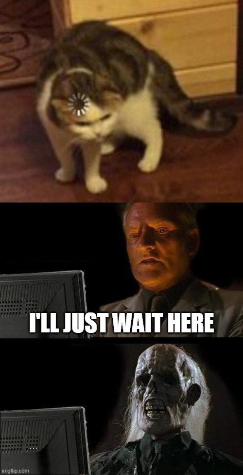 To this day the video still has not loaded | I'LL JUST WAIT HERE | image tagged in loading cat,memes,i'll just wait here,youtube | made w/ Imgflip meme maker
