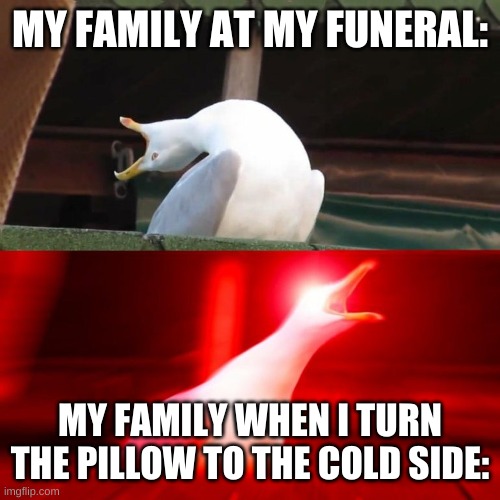 5 more minutes | MY FAMILY AT MY FUNERAL:; MY FAMILY WHEN I TURN THE PILLOW TO THE COLD SIDE: | image tagged in boy seagull | made w/ Imgflip meme maker