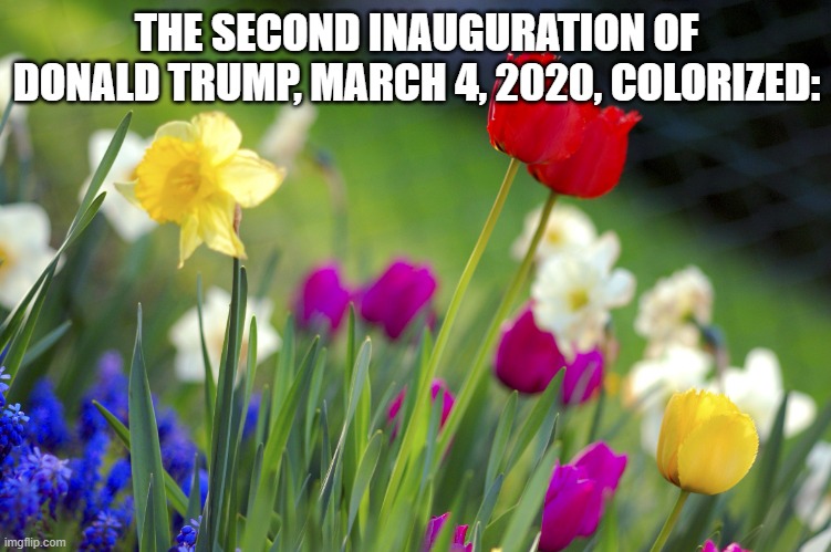 Spring | THE SECOND INAUGURATION OF DONALD TRUMP, MARCH 4, 2020, COLORIZED: | image tagged in donald trump,flowers | made w/ Imgflip meme maker