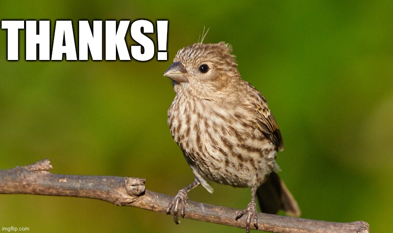 THANKS! | made w/ Imgflip meme maker