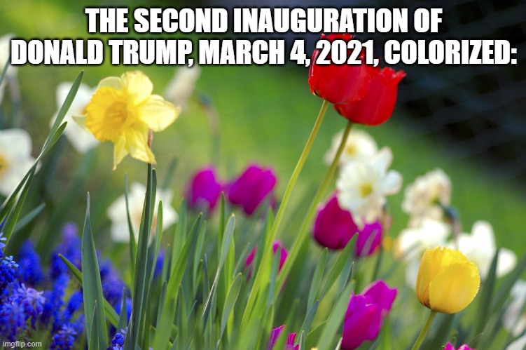 Spring | THE SECOND INAUGURATION OF DONALD TRUMP, MARCH 4, 2021, COLORIZED: | image tagged in spring,donald trump,flowers | made w/ Imgflip meme maker