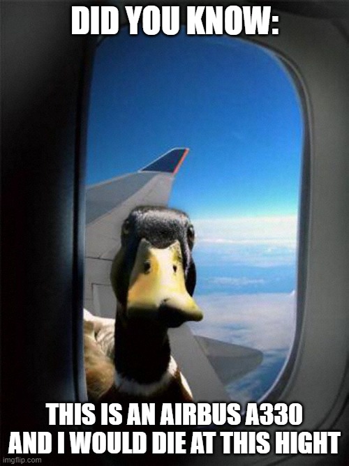 Airplane Duck | DID YOU KNOW:; THIS IS AN AIRBUS A330 AND I WOULD DIE AT THIS HIGHT | image tagged in airplane duck | made w/ Imgflip meme maker