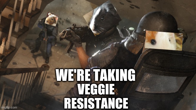 see what i did there? | WE'RE TAKING; VEGGIE
RESISTANCE | image tagged in guinea pig,rainbow six siege,gign,operator pigs 3 | made w/ Imgflip meme maker