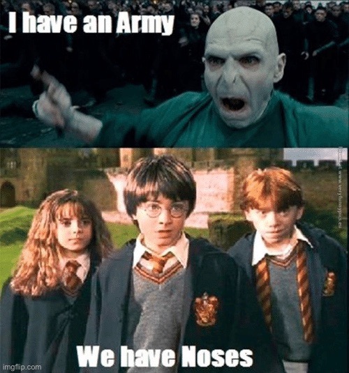 Ohh burn!! | image tagged in harry potter | made w/ Imgflip meme maker