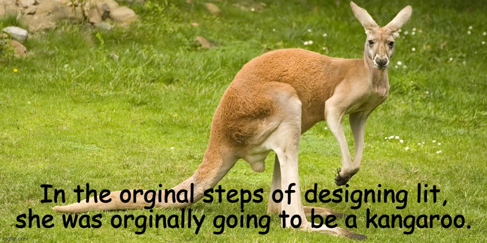 Floofer Facts #3 | In the orginal steps of designing lit, she was orginally going to be a kangaroo. | image tagged in floofer facts,lit | made w/ Imgflip meme maker