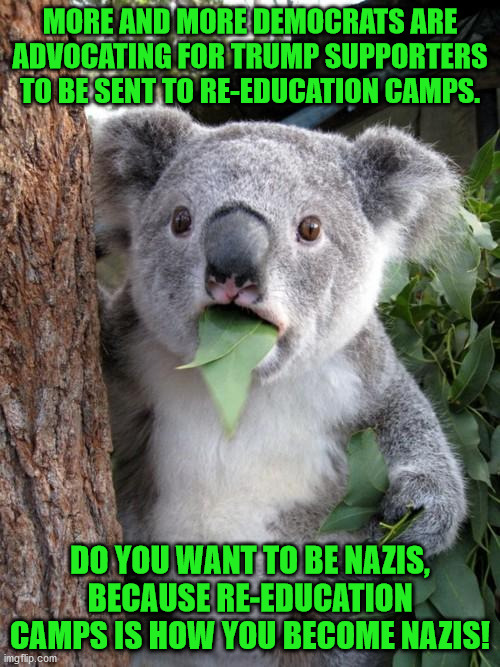 If re-education doesn't work, then what?  Will you fire up the ovens then? | MORE AND MORE DEMOCRATS ARE ADVOCATING FOR TRUMP SUPPORTERS TO BE SENT TO RE-EDUCATION CAMPS. DO YOU WANT TO BE NAZIS, BECAUSE RE-EDUCATION CAMPS IS HOW YOU BECOME NAZIS! | image tagged in nazi democrats,democrats,nazis | made w/ Imgflip meme maker