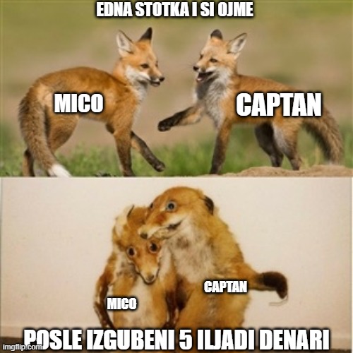 Party Fox | EDNA STOTKA I SI OJME; CAPTAN; MICO; CAPTAN; MICO; POSLE IZGUBENI 5 ILJADI DENARI | image tagged in party fox | made w/ Imgflip meme maker