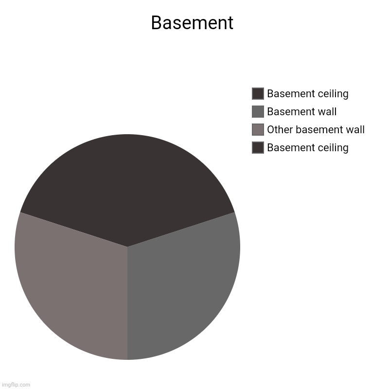 Basement | Basement ceiling, Other basement wall, Basement wall, Basement ceiling | image tagged in charts,pie charts | made w/ Imgflip chart maker