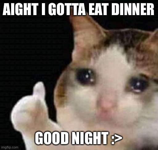 sad thumbs up cat | AIGHT I GOTTA EAT DINNER; GOOD NIGHT :> | image tagged in sad thumbs up cat | made w/ Imgflip meme maker