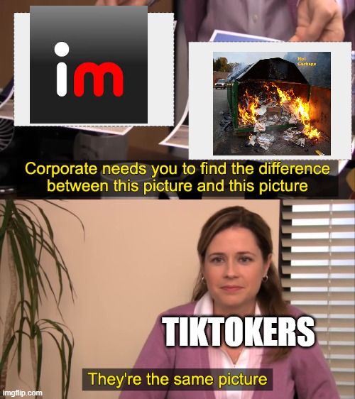 I am a imgflipper so don't hate me |  TIKTOKERS | image tagged in there the same picture | made w/ Imgflip meme maker