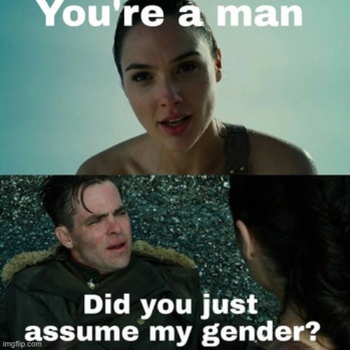 www | image tagged in wonder woman | made w/ Imgflip meme maker