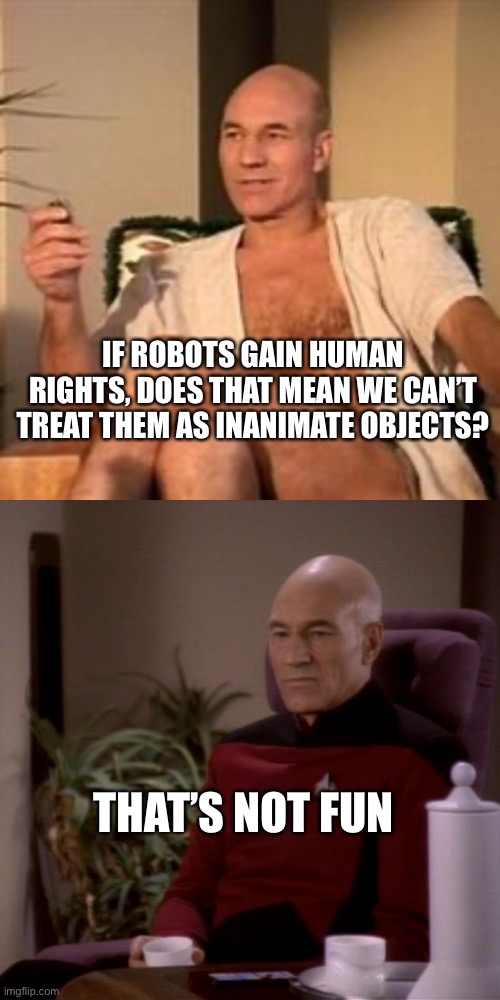 Not Fun | IF ROBOTS GAIN HUMAN RIGHTS, DOES THAT MEAN WE CAN’T TREAT THEM AS INANIMATE OBJECTS? THAT’S NOT FUN | image tagged in sexy picard,picard sad | made w/ Imgflip meme maker