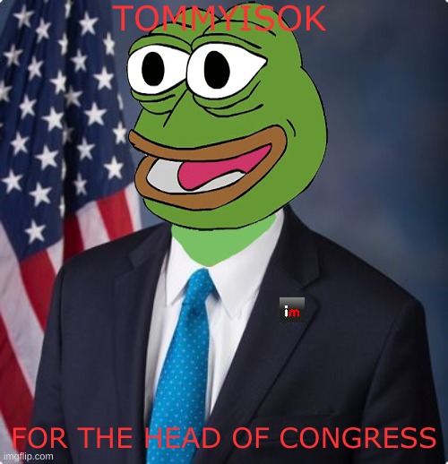 tommyisok | TOMMYISOK; FOR THE HEAD OF CONGRESS | image tagged in tommyisok,congress | made w/ Imgflip meme maker