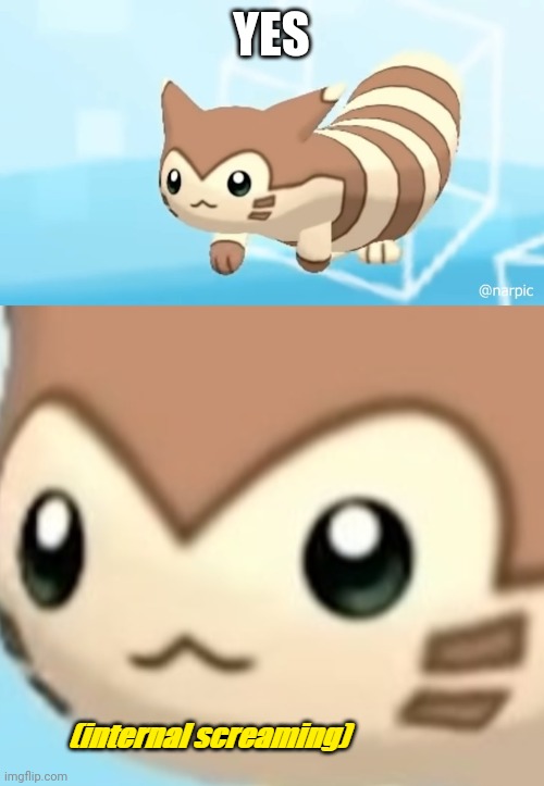 Furret scream | YES | image tagged in furret scream | made w/ Imgflip meme maker