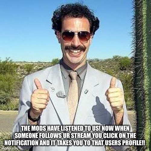 Yesh finally | THE MODS HAVE LISTENED TO US! NOW WHEN SOMEONE FOLLOWS UR STREAM YOU CLICK ON THE NOTIFICATION AND IT TAKES YOU TO THAT USERS PROFILE!! | image tagged in yay | made w/ Imgflip meme maker