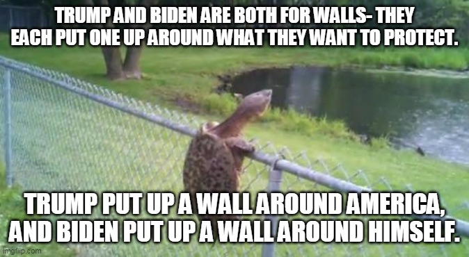 But I thought walls don't work | TRUMP AND BIDEN ARE BOTH FOR WALLS- THEY EACH PUT ONE UP AROUND WHAT THEY WANT TO PROTECT. TRUMP PUT UP A WALL AROUND AMERICA, AND BIDEN PUT UP A WALL AROUND HIMSELF. | image tagged in turtle fence escape | made w/ Imgflip meme maker