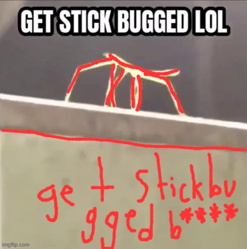 get stickbugged bitch | image tagged in get stick bugged lol | made w/ Imgflip meme maker