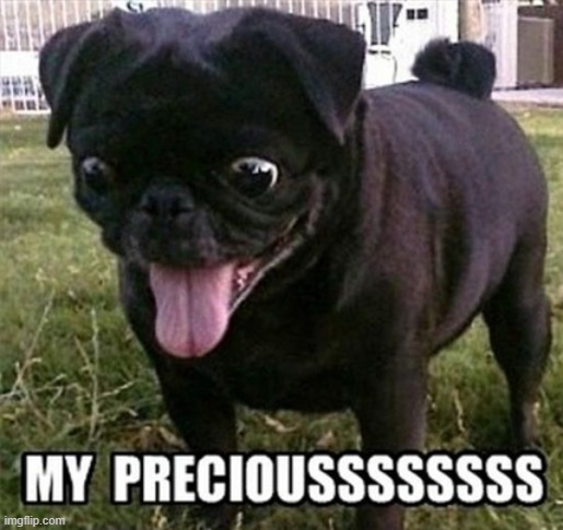 image tagged in dogs,pug,my precious | made w/ Imgflip meme maker
