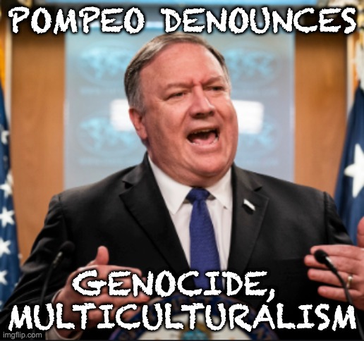 For the first, he waited until it was already 1/20 in China (coward); for the second, is he even an American? | POMPEO DENOUNCES; GENOCIDE, 
MULTICULTURALISM | image tagged in mike pompeo,politics | made w/ Imgflip meme maker