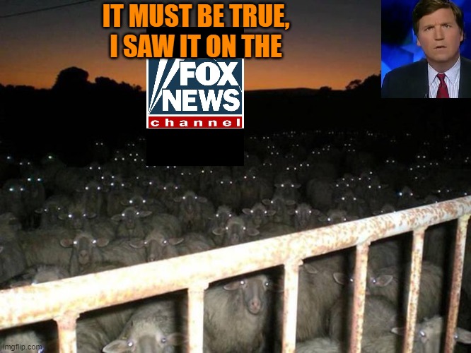 IT MUST BE TRUE, I SAW IT ON THE... | IT MUST BE TRUE,
I SAW IT ON THE | image tagged in fox news viewers | made w/ Imgflip meme maker