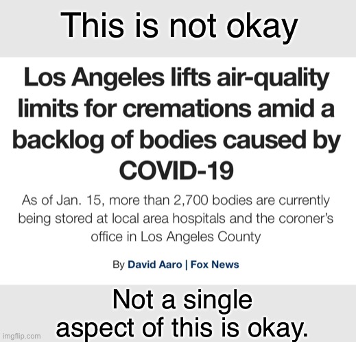 Everyone who let this pandemic get out of hand should be held f**king accountable! | This is not okay; Not a single aspect of this is okay. | image tagged in covid-19,america,donald trump,los angeles | made w/ Imgflip meme maker
