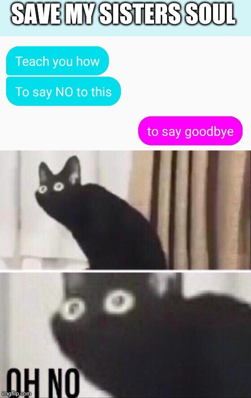 SAVE MY SISTERS SOUL | image tagged in oh no cat | made w/ Imgflip meme maker
