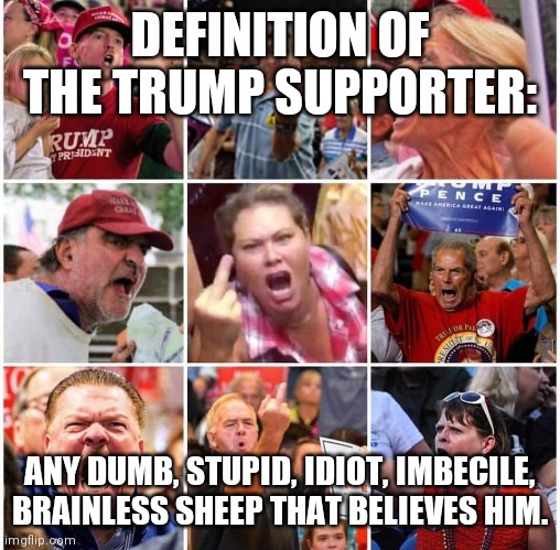 Triggered Trump supporters | DEFINITION OF THE TRUMP SUPPORTER:; ANY DUMB, STUPID, IDIOT, IMBECILE, BRAINLESS SHEEP THAT BELIEVES HIM. | image tagged in triggered trump supporters,anti trump meme,trump,trumpet,trump derangement syndrome | made w/ Imgflip meme maker