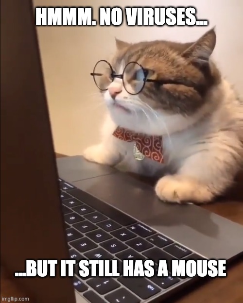 research cat | HMMM. NO VIRUSES... ...BUT IT STILL HAS A MOUSE | image tagged in research cat | made w/ Imgflip meme maker