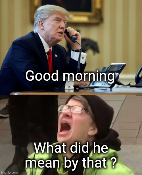 Good morning What did he mean by that ? | image tagged in trump phone,screaming liberal | made w/ Imgflip meme maker