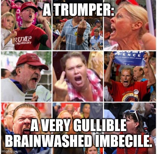 Triggered Trump supporters | A TRUMPER:; A VERY GULLIBLE BRAINWASHED IMBECILE. | image tagged in triggered trump supporters,anti trump,trump meme | made w/ Imgflip meme maker