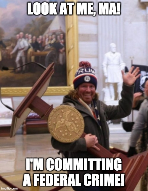 Capitol 2021 stealing guy | LOOK AT ME, MA! I'M COMMITTING A FEDERAL CRIME! | image tagged in capitol 2021 stealing guy | made w/ Imgflip meme maker