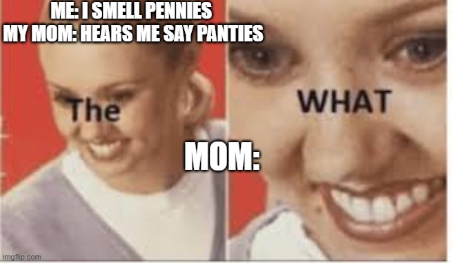 Say it right! | ME: I SMELL PENNIES 
MY MOM: HEARS ME SAY PANTIES; MOM: | image tagged in the what | made w/ Imgflip meme maker