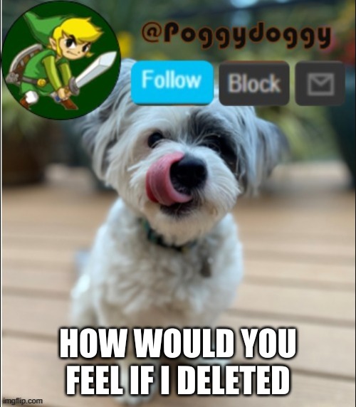 poggydoggy announcment | HOW WOULD YOU FEEL IF I DELETED | image tagged in poggydoggy announcment | made w/ Imgflip meme maker