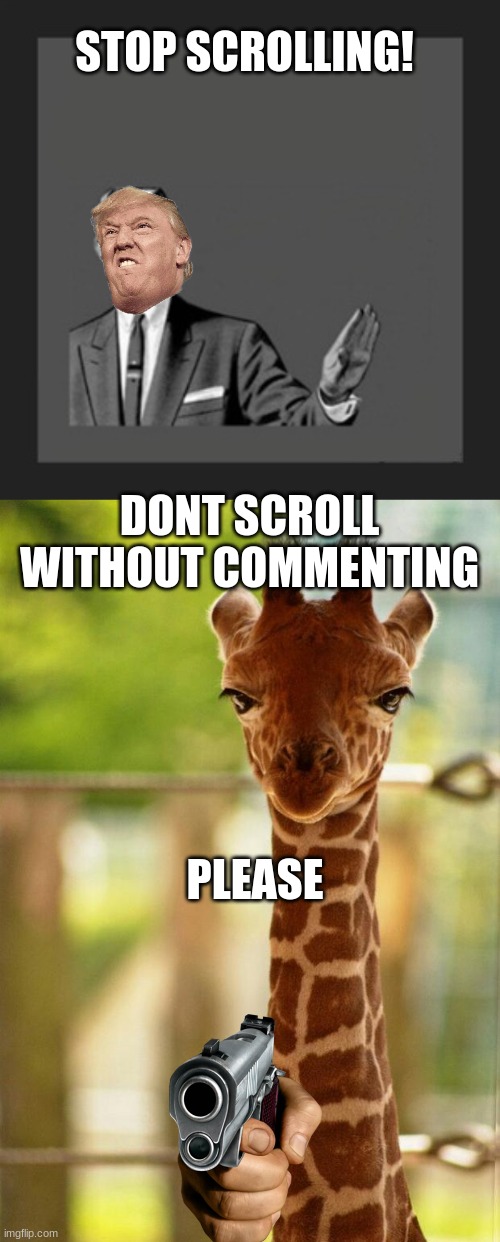 STOP SCROLLING! DONT SCROLL WITHOUT COMMENTING; PLEASE | image tagged in memes,kill yourself guy,no comment giraffe | made w/ Imgflip meme maker