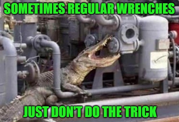 He's got plenty of torque! | SOMETIMES REGULAR WRENCHES; JUST DON'T DO THE TRICK | image tagged in alligator wrench,alligator,animals | made w/ Imgflip meme maker