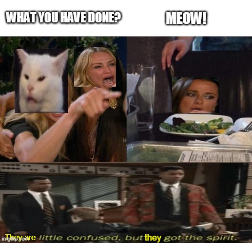 Woman Yelling At Cat | MEOW! WHAT YOU HAVE DONE? They are; they | image tagged in memes,woman yelling at cat | made w/ Imgflip meme maker