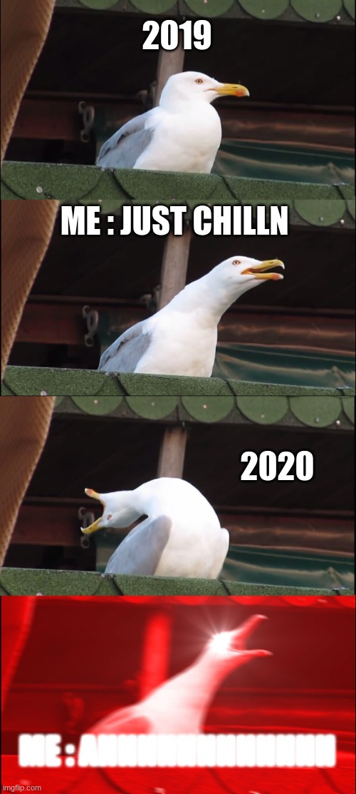 Inhaling Seagull | 2019; ME : JUST CHILLN; 2020; ME : AHHHHHHHHHHHH | image tagged in memes,inhaling seagull | made w/ Imgflip meme maker