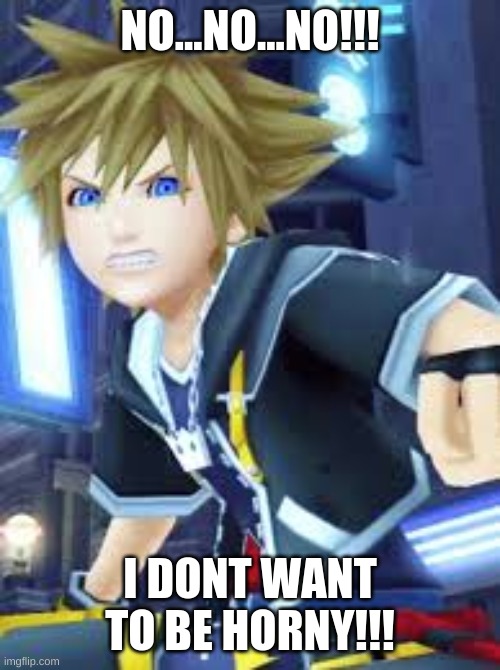 sora angry | NO...NO...NO!!! I DONT WANT TO BE HORNY!!! | image tagged in sora angry | made w/ Imgflip meme maker