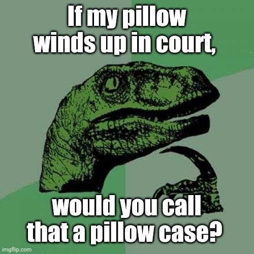 Let me sleep on it. | If my pillow winds up in court, would you call that a pillow case? | image tagged in memes,philosoraptor,funny | made w/ Imgflip meme maker