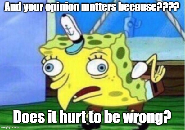 Mocking Spongebob Meme | And your opinion matters because???? Does it hurt to be wrong? | image tagged in memes,mocking spongebob | made w/ Imgflip meme maker