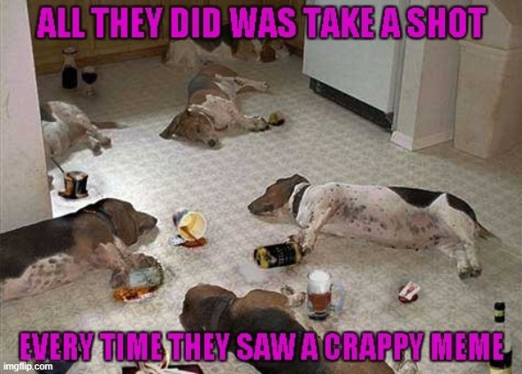 It was a long day... | image tagged in dog party,memes,doing shots,dogs | made w/ Imgflip meme maker