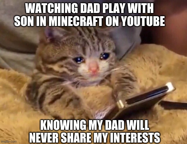 Sad cat watching video | WATCHING DAD PLAY WITH SON IN MINECRAFT ON YOUTUBE; KNOWING MY DAD WILL NEVER SHARE MY INTERESTS | image tagged in sad cat watching video | made w/ Imgflip meme maker