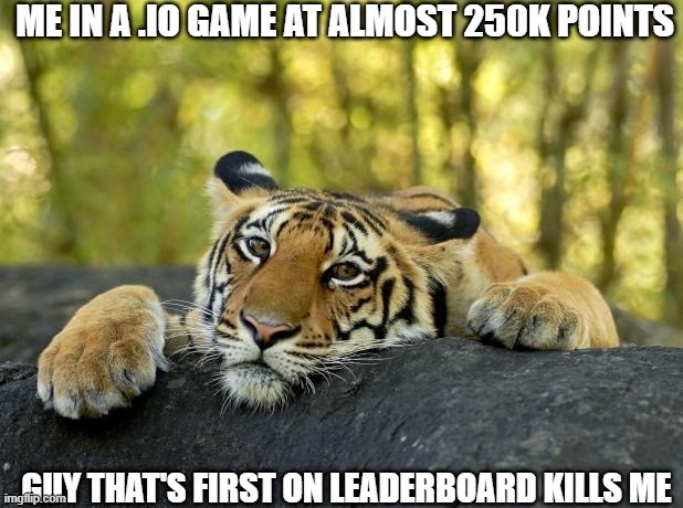 Confession Tiger |  ME IN A .IO GAME AT ALMOST 250K POINTS; GUY THAT'S FIRST ON LEADERBOARD KILLS ME | image tagged in confession tiger | made w/ Imgflip meme maker