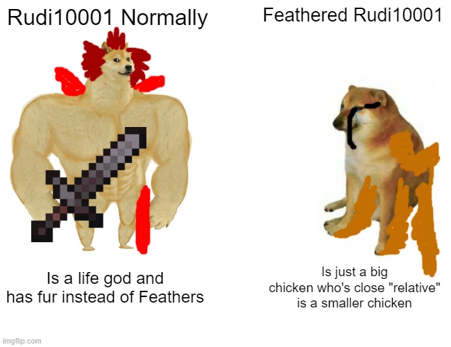 Rudi10001 | Rudi10001 Normally; Feathered Rudi10001; Is a life god and has fur instead of Feathers; Is just a big chicken who's close "relative" is a smaller chicken | image tagged in memes,buff doge vs cheems | made w/ Imgflip meme maker