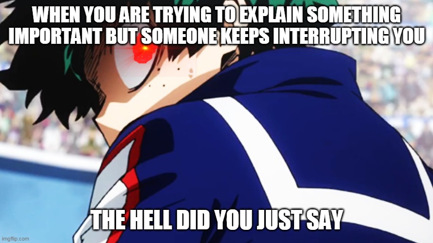 This happened to all of us | WHEN YOU ARE TRYING TO EXPLAIN SOMETHING IMPORTANT BUT SOMEONE KEEPS INTERRUPTING YOU; THE HELL DID YOU JUST SAY | image tagged in deku what you say | made w/ Imgflip meme maker